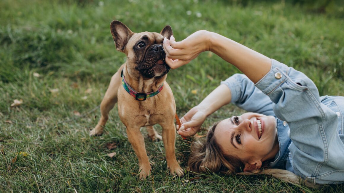 Os benefícios de ter um cachorro para a saúde: por que as pessoas vivem melhor